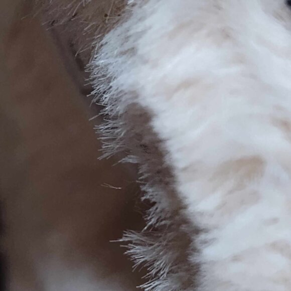 Strive 'Copenhagen' Women's Comfort Supportive Slipper - Black size 7-8 - Picture 6 of 7